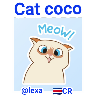 Cat🐱coco 