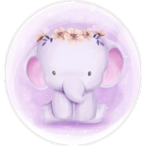 Elephant🐘loVe💗 