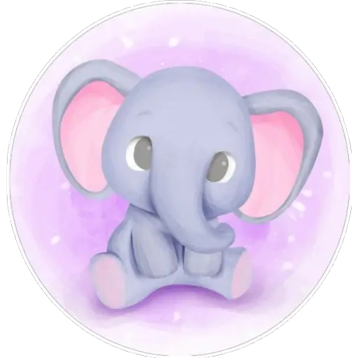 Elephant🐘loVe💗 