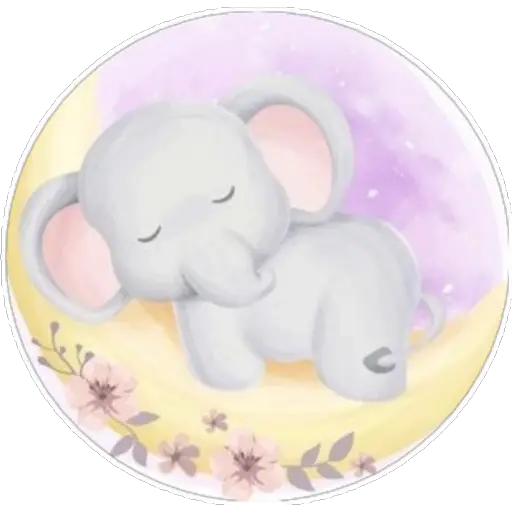 Elephant🐘loVe💗  preview