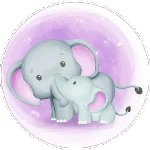Elephant🐘loVe💗 