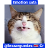Emotion Cats 🐱🐈 
