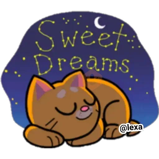 Gatito🍊Orange sticker 11