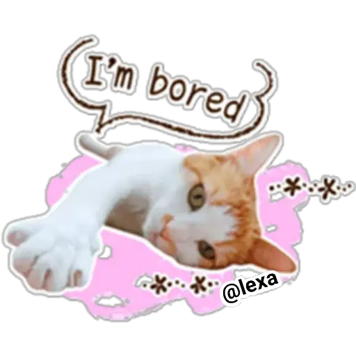 gatitos🐱sweet💗 