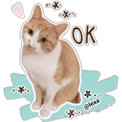 gatitos🐱sweet💗 