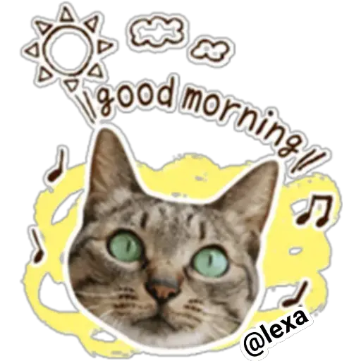 gatitos🐱sweet💗 