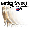 gatitos🐱sweet💗 