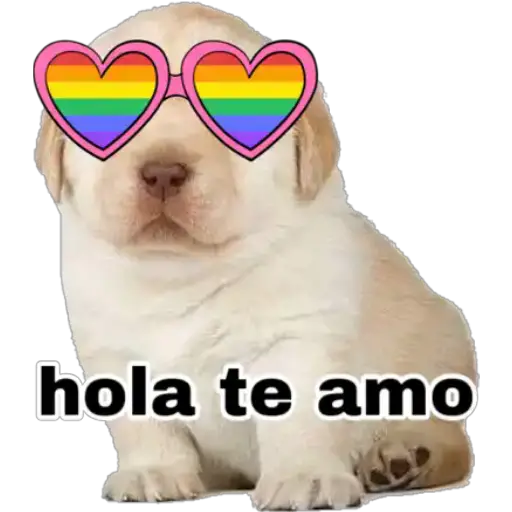 Perritos 
