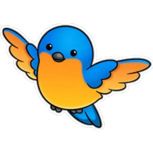 Pajaros Bonitos