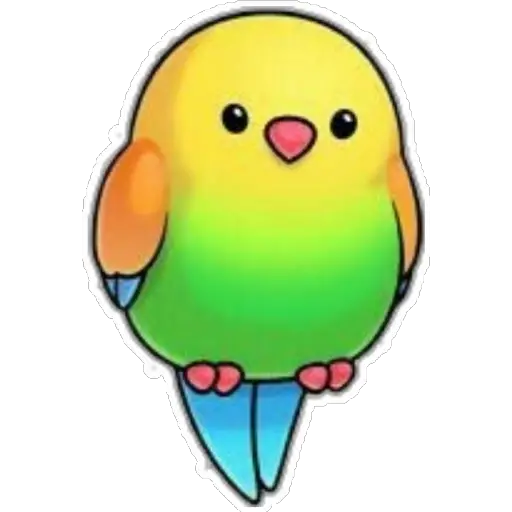 Pajaros Bonitos