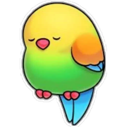 Pajaros Bonitos