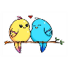Pajaros Bonitos