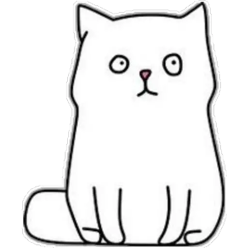 whitecat🐱  preview