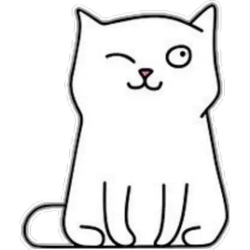 whitecat🐱 