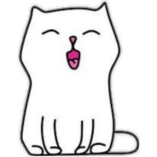 whitecat🐱 