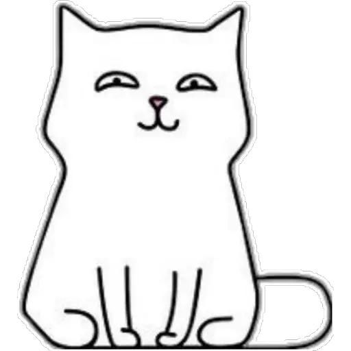 whitecat🐱 