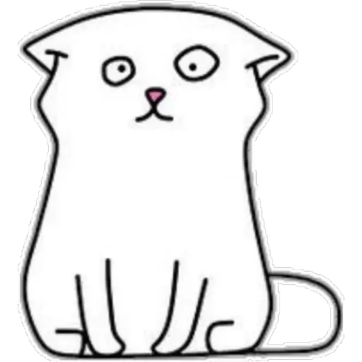 whitecat🐱  preview