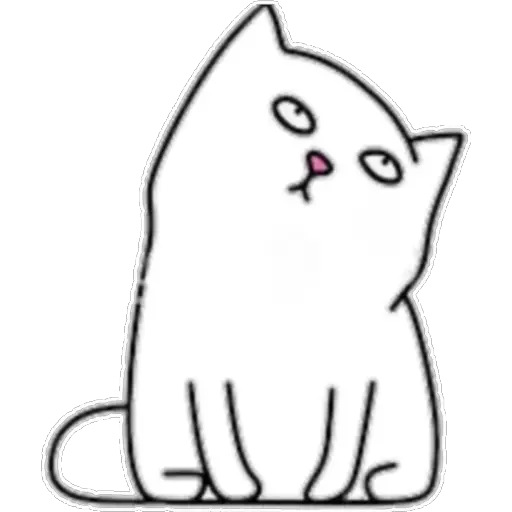 whitecat🐱 