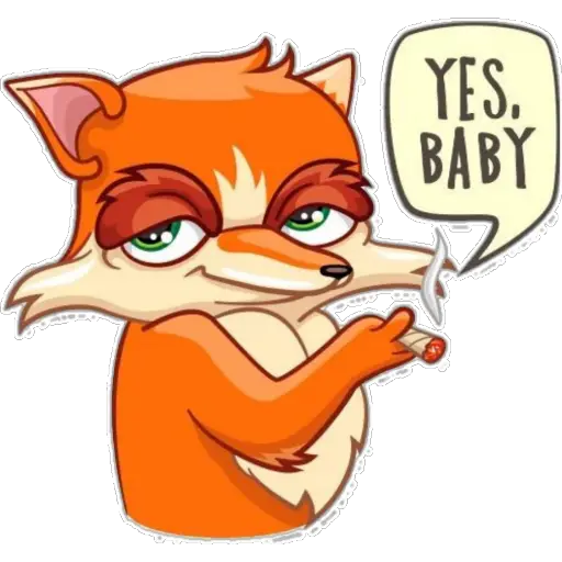 zorrito 🦊 