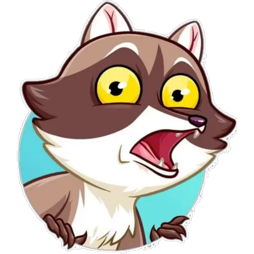 zorrito 🦊 