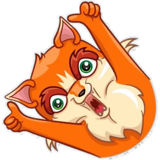 zorrito 🦊 