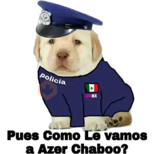 Perritos 2 sticker 11