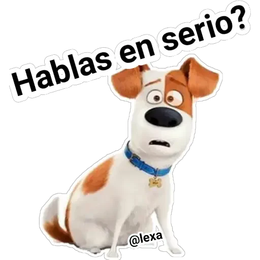 MaScoTas🐱🐰🐶 sticker 21