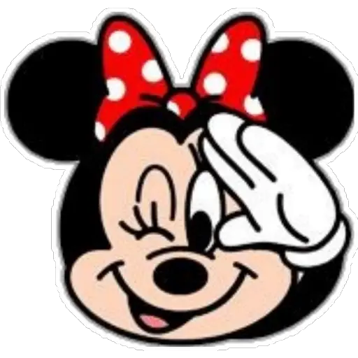 Mickey&Mimnie❤️ 