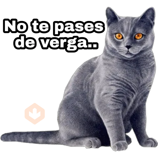 Perros y gatos sticker 18