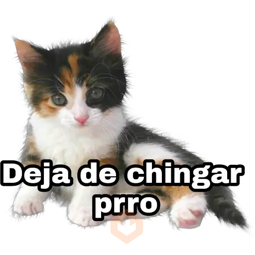 Perros y gatos sticker 15