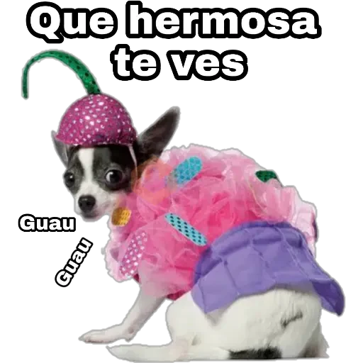 Perros y gatos sticker 30