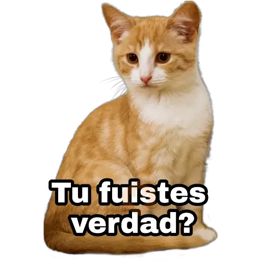 Perros y gatos sticker 22