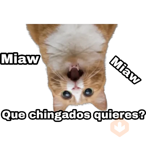 Perros y gatos sticker 26
