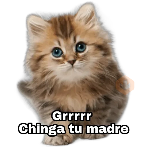 Perros y gatos sticker 27