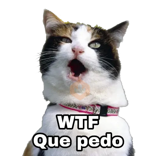 Perros y gatos sticker 14