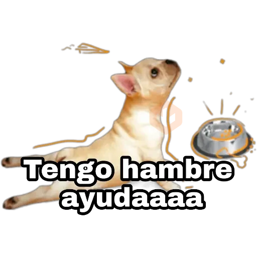 Perros y gatos sticker 19