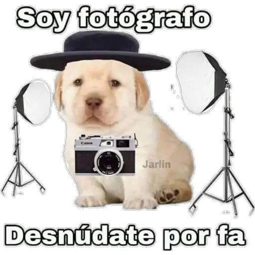 misStickers✨💫 