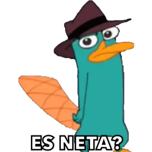 Perry 