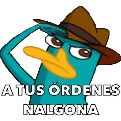 Perry 