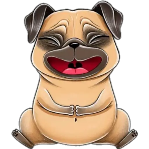 perro pug🐶❤️ 