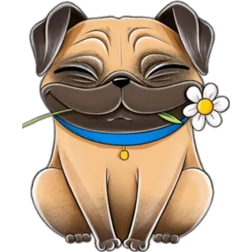 perro pug🐶❤️  preview
