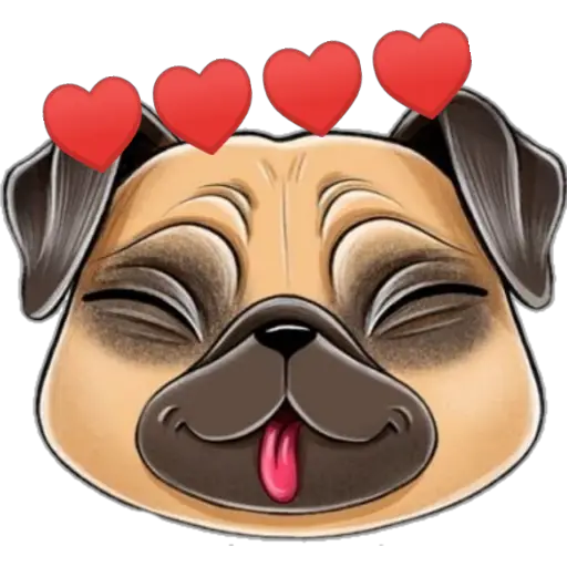 perro pug🐶❤️ 
