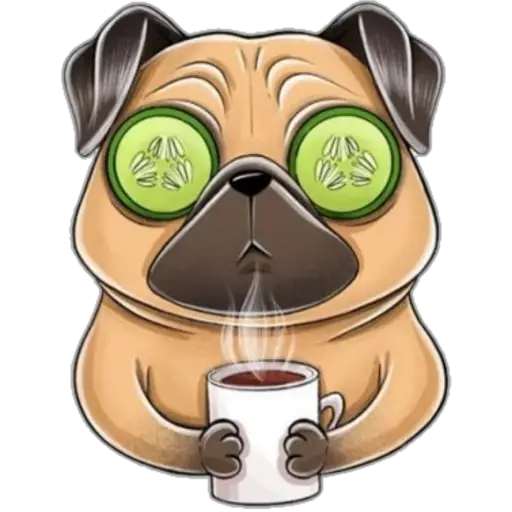 perro pug🐶❤️ 
