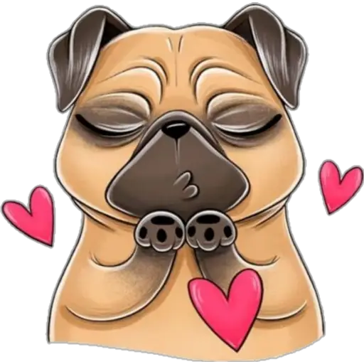perro pug🐶❤️ 