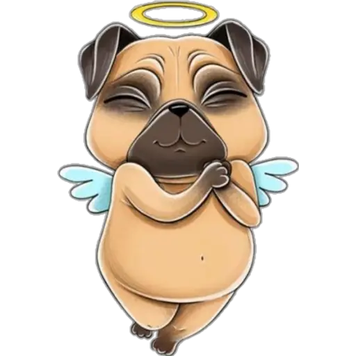 perro pug🐶❤️ 