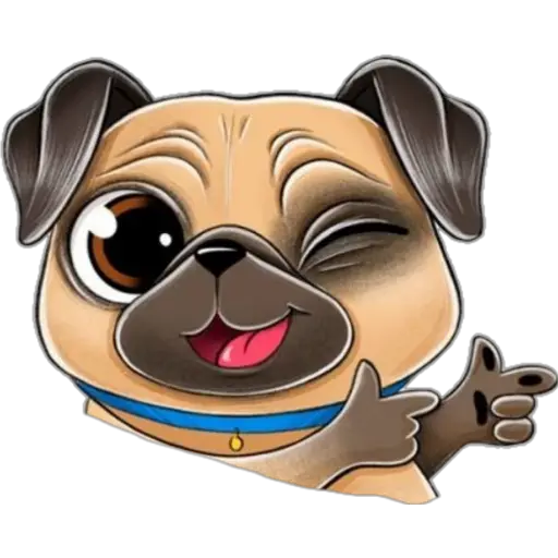 perro pug🐶❤️ 