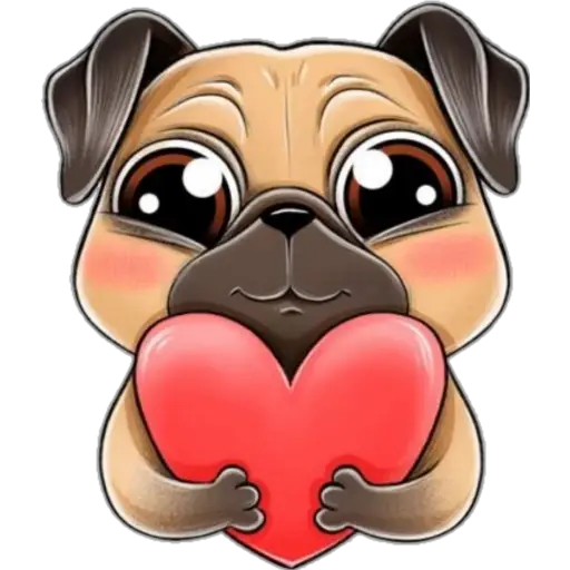 perro pug🐶❤️ 