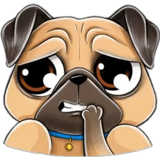 perro pug🐶❤️ 