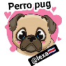 perro pug🐶❤️ 