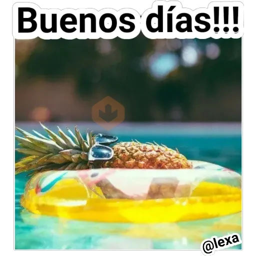 Playita🍹🏝️🌞🌊 sticker 16